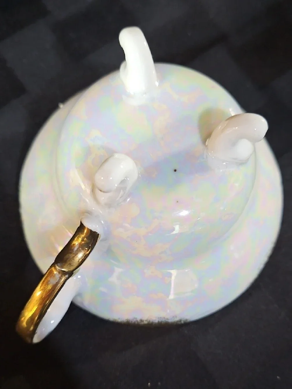 Porcelain Black Colorful Water Lily and Orchid Lustreware Teacup and Saucer